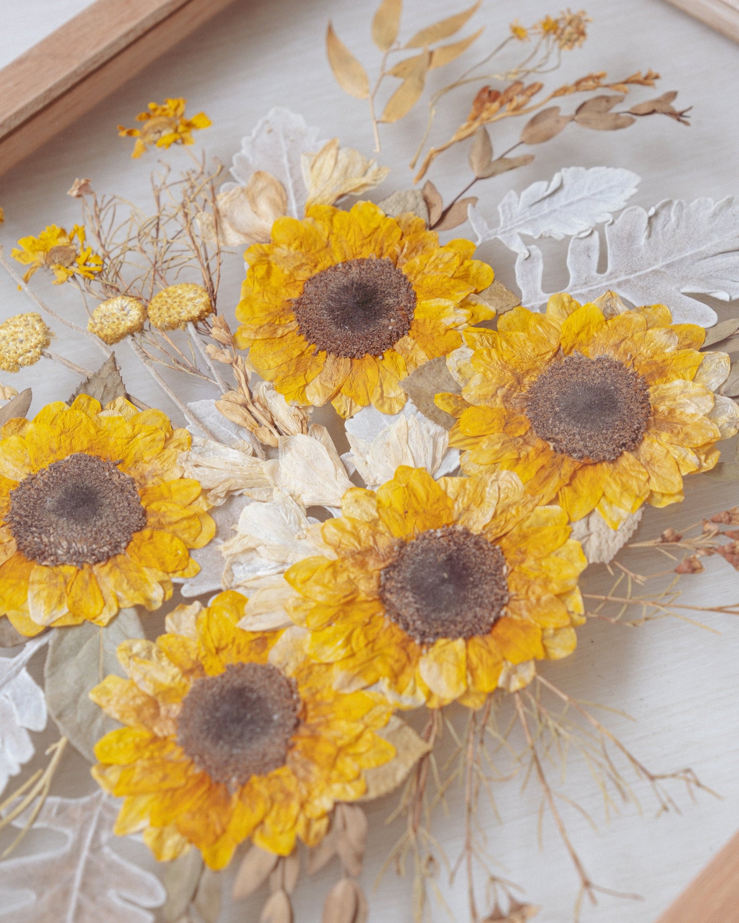 The Saguaro Pressed Floral Frame