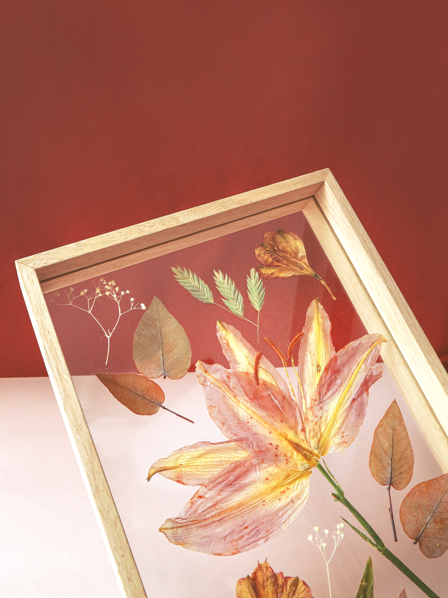 N01| Pressed Floral Collection