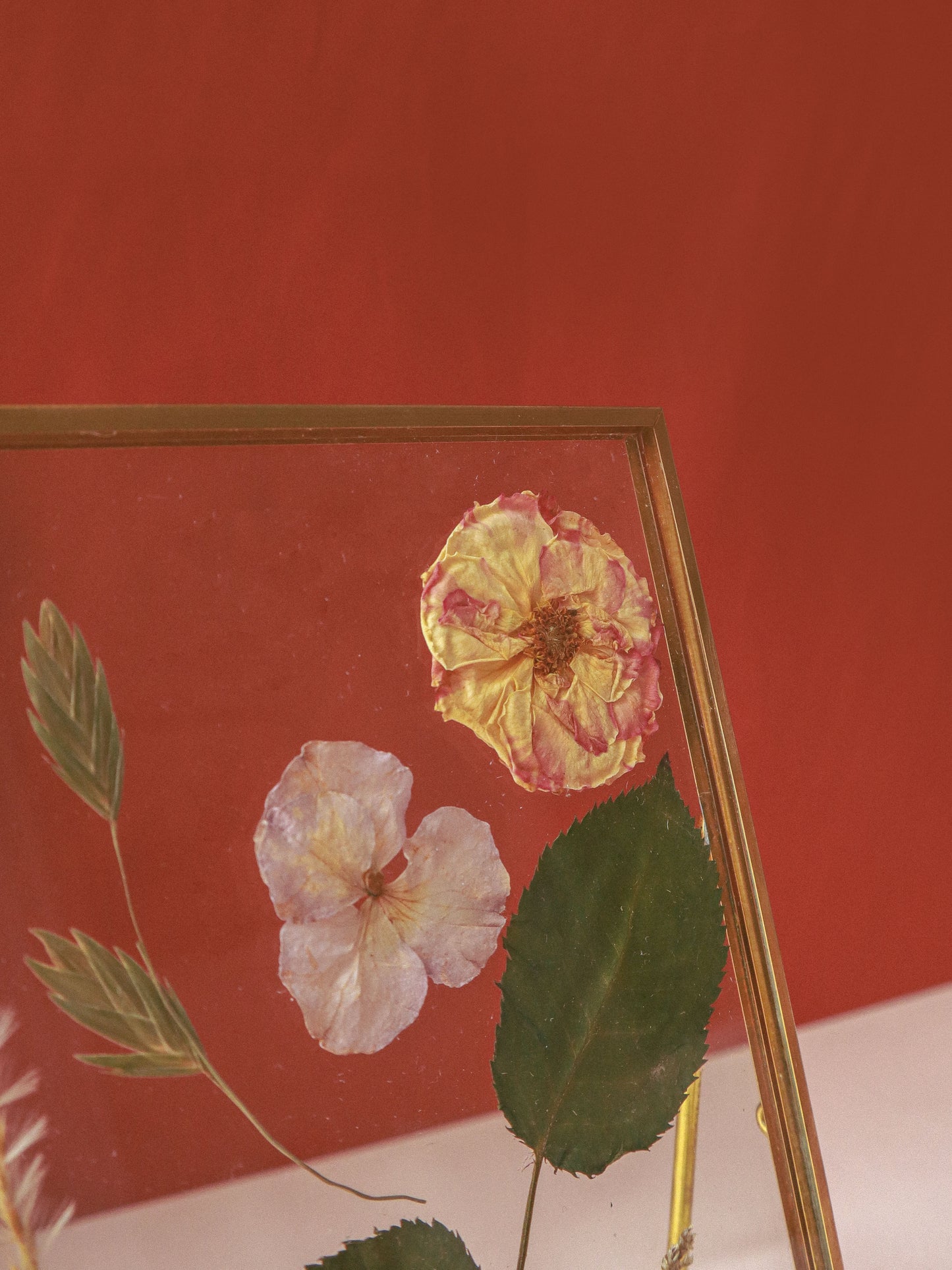 N02| Pressed Floral Collection