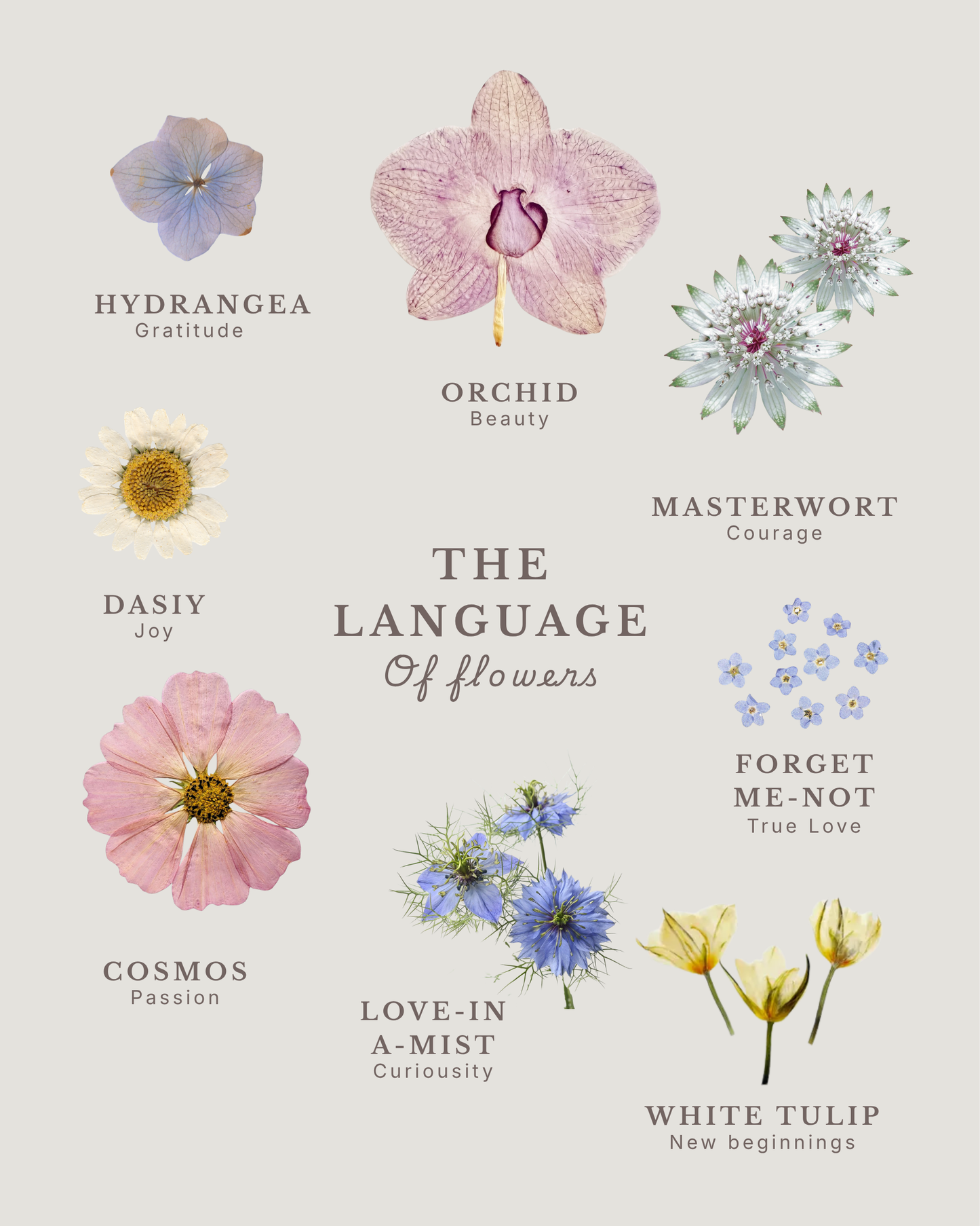 Memory in Bloom Workshop (Aug Exclusive)