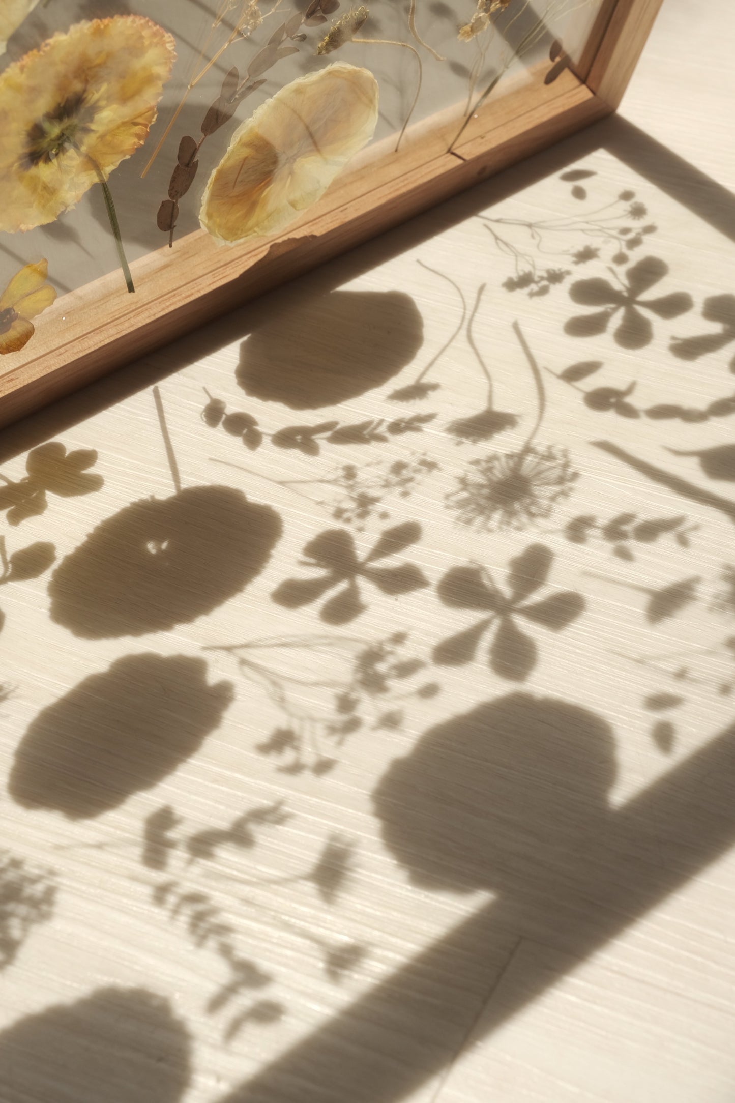 Pressed Flowers Art Jamming Workshop [3hrs]