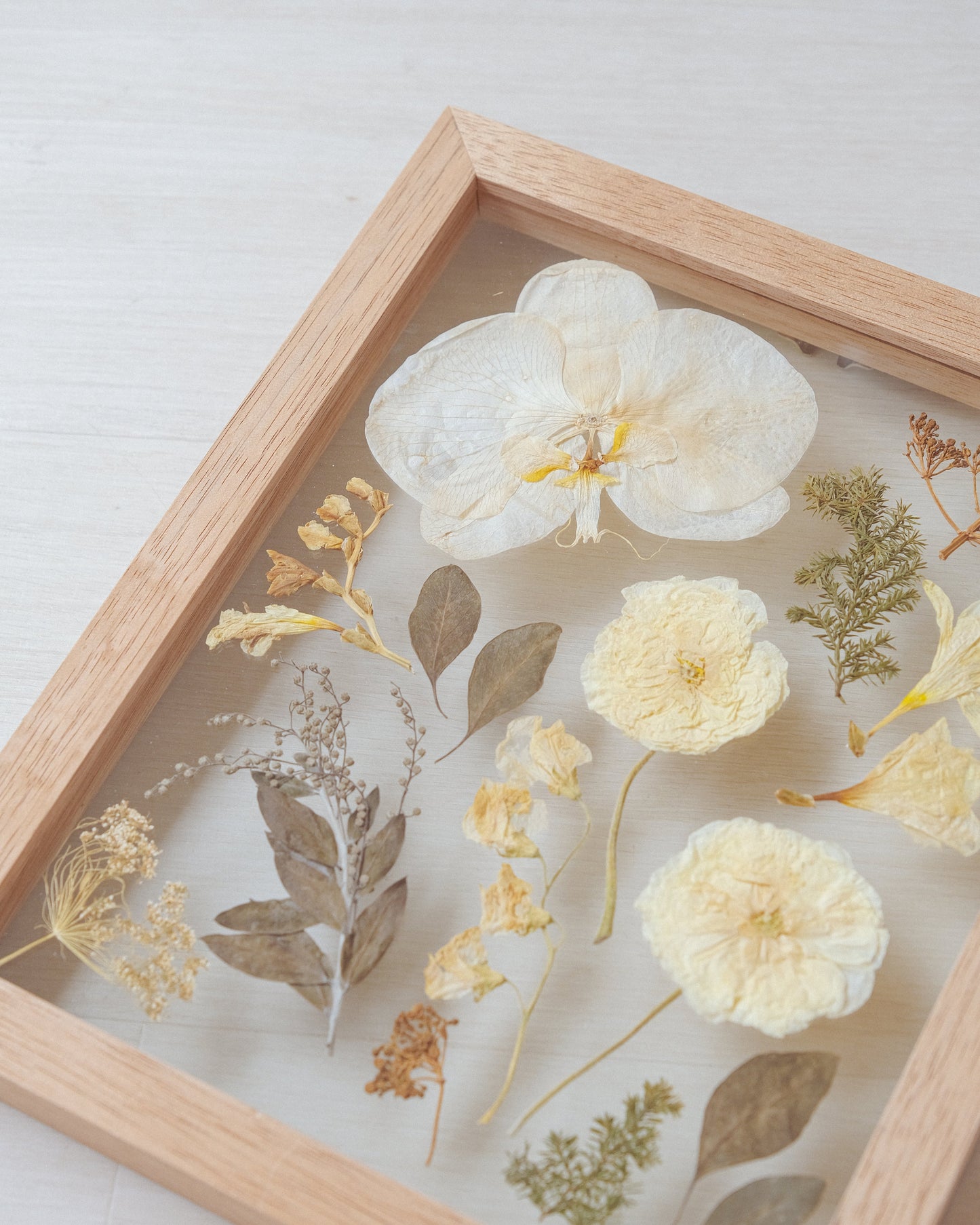 La Cholla Pressed Floral Frame