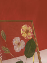 Load image into Gallery viewer, N02| Pressed Floral Collection
